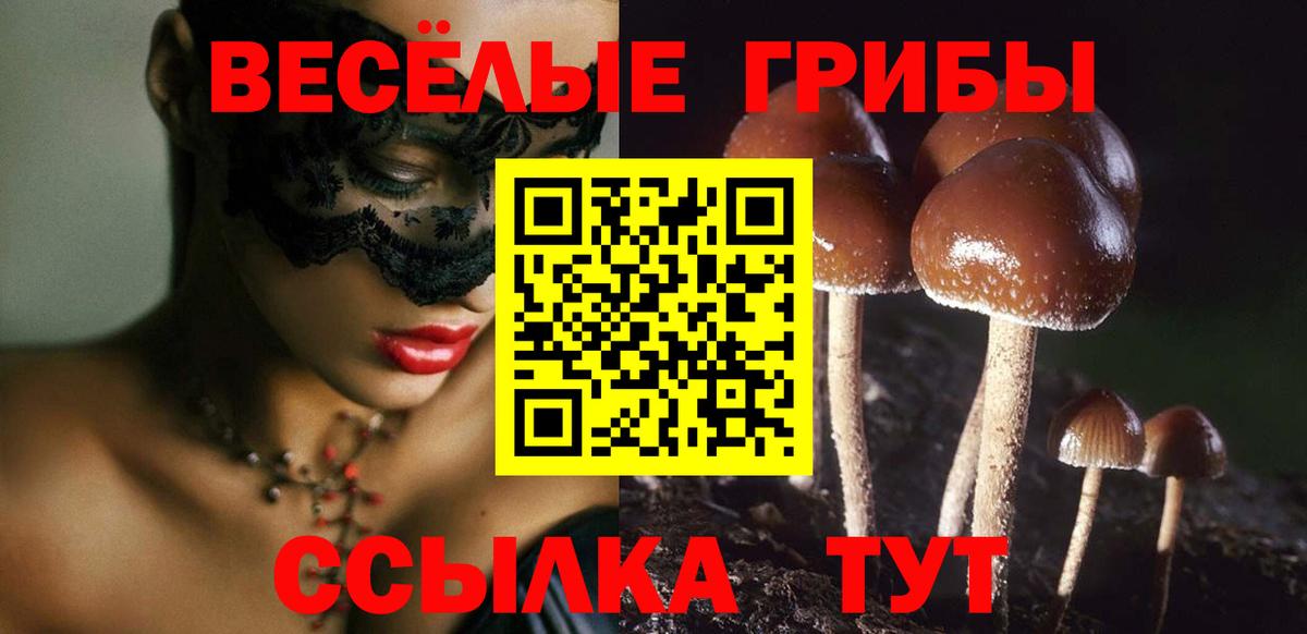 Канабис  МДМА  Метамфетамин  ГАШ  NBOMe  Мефедрон кристаллы  Сунжа  Вход с VPN 