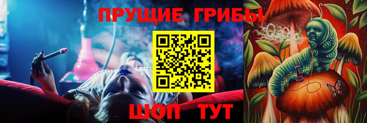 Псилоцибиновые грибы MAGIC MUSHROOMS Сунжа
