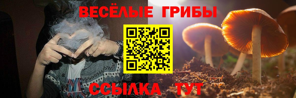 Галлюциногенные грибы мицелий  Псилоцибиновые грибы GOLDEN TEACHER  Вход с VPN  Сунжа 